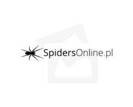 Aphonopelma chalcodes L2 (1cm) x10